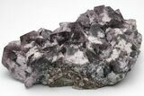 Fluorescent Purple Fluorite Cluster - Diana Maria Mine, England #209290-1